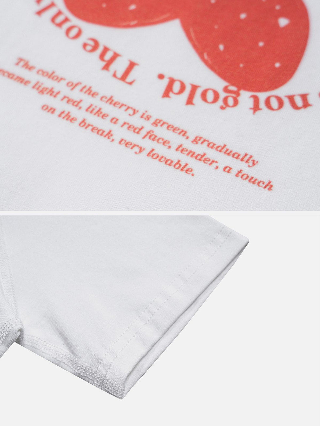 Ellesey - Strawberry Print Tee- Streetwear Fashion - ellesey.com