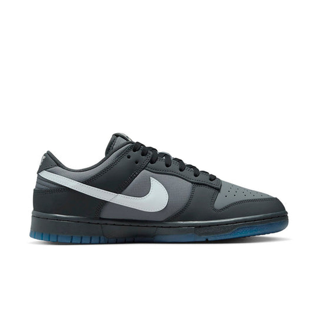 Nike Dunk Low 'Anthracite'- Streetwear Fashion - ellesey.com